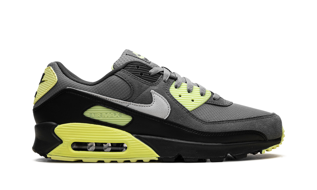 Air Max 90 "Smoke Grey Light Lemon Twist" DM0029 012