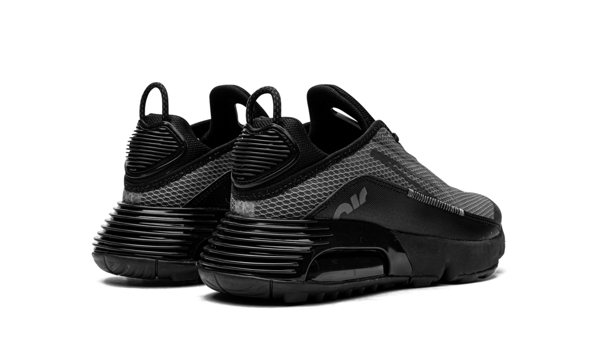 Air Max 2090(GS) "Black Wolf Grey" CJ4066 001
