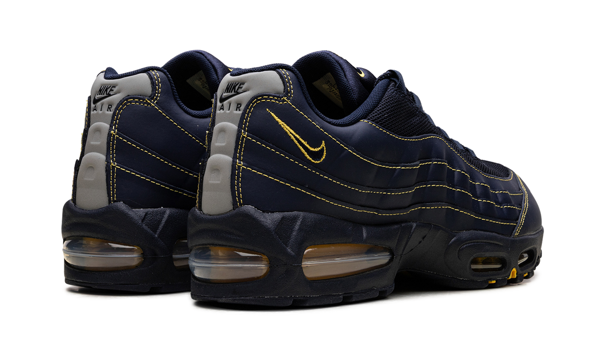 Air Max 95 "Michigan" IB7936 400