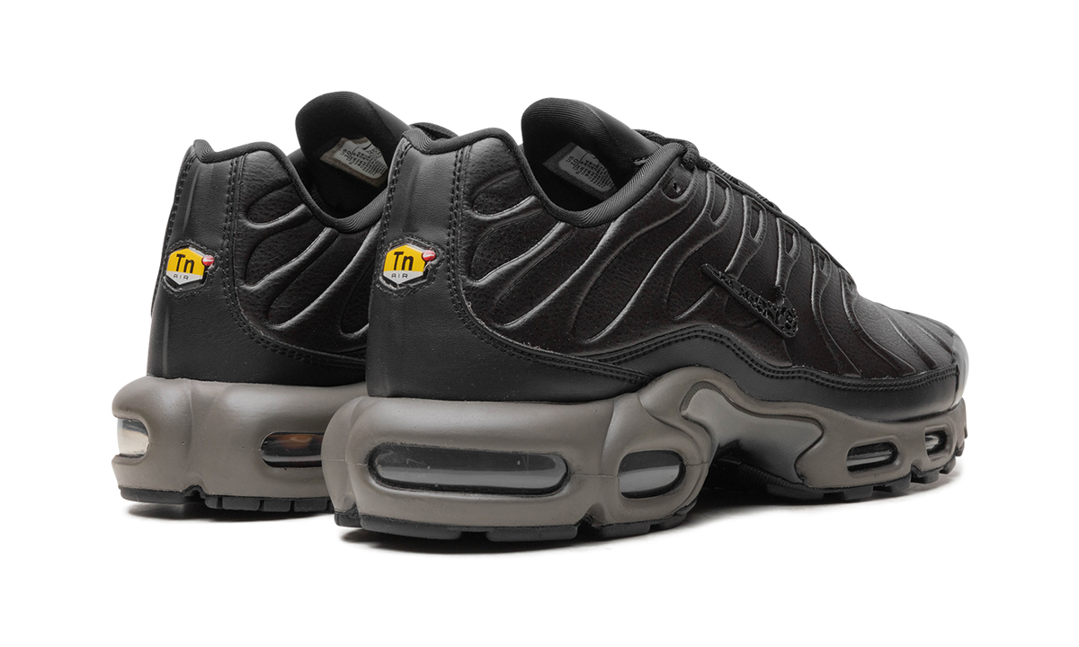 Air Max Plus "Black Tea / Petra Brown" "Black Tea / Petra Brown" HJ4519 200