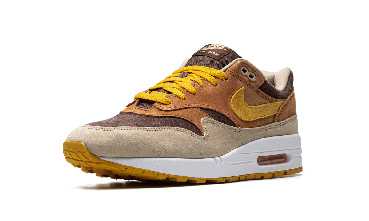 Air Max 1 "Ugly Duckling - Pecan" DZ0482 200