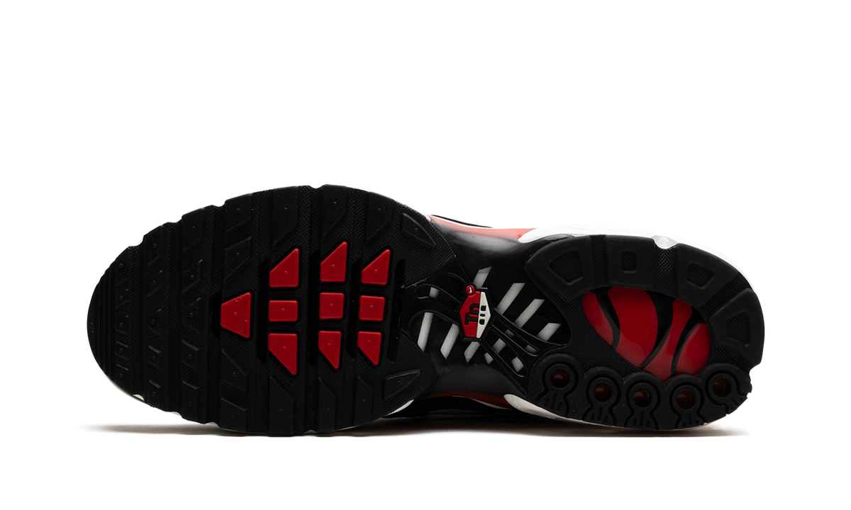 Air Max Plus "Black White University Red" DM0032 004