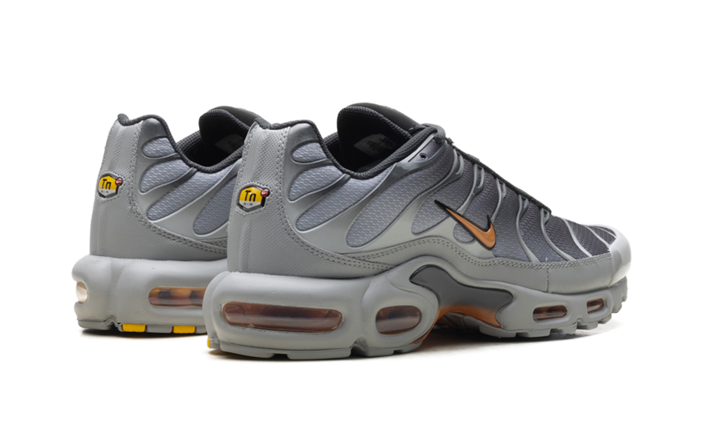 Air Max Plus "Light Smoke Grey Hot Curry" DM0032 037