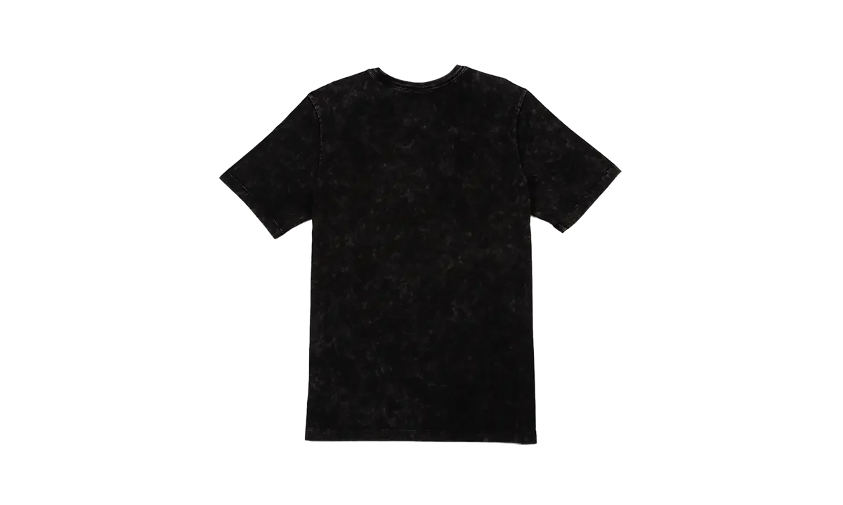 NSW Air Max 95 Graphic Tee "Black" HQ9277 010