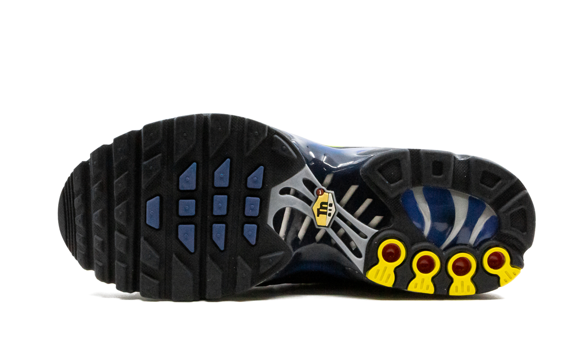 Air Max Plus (GS) CD0609 401