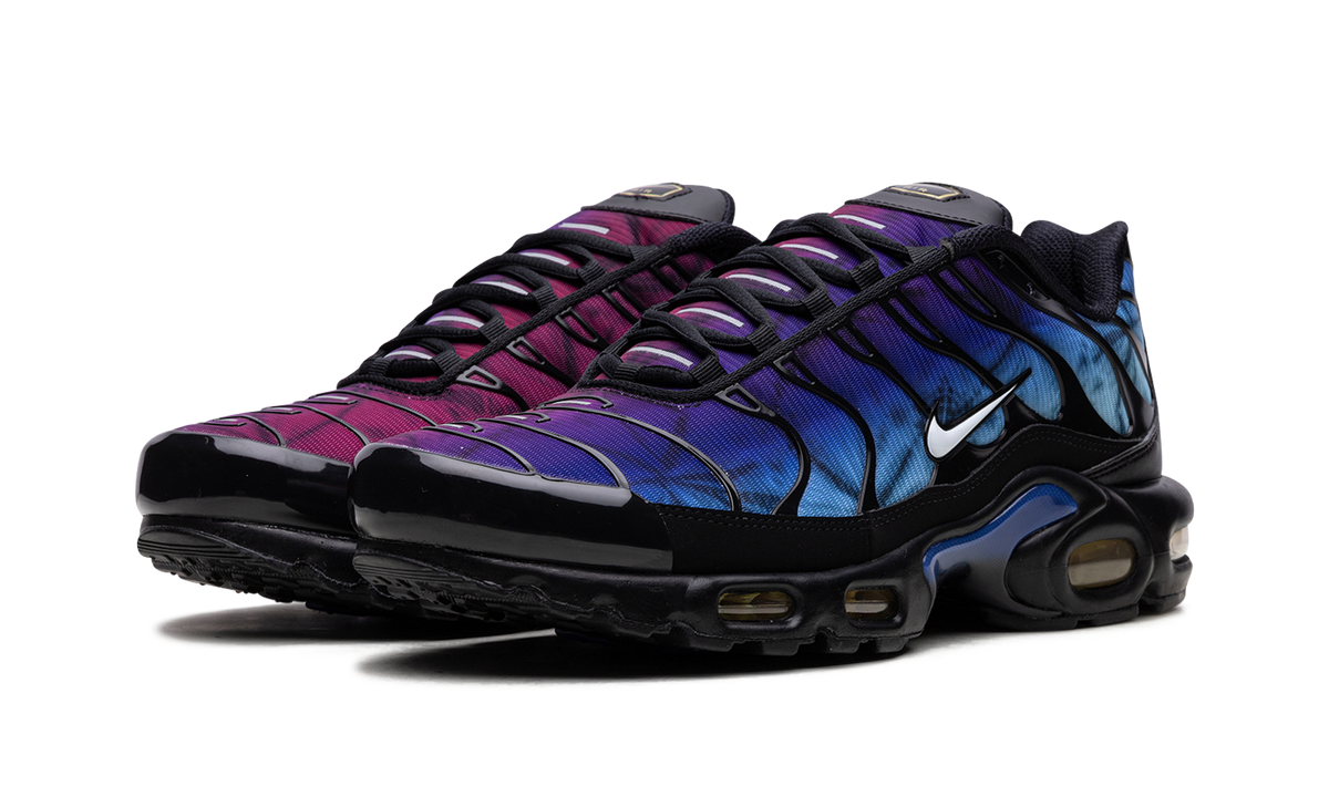 Air Max Plus "25th Anniversary" FV0393 001